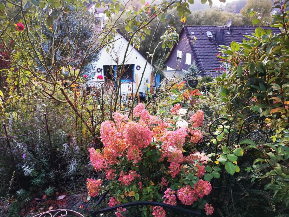 Ferienhaus Mit Riesen Garten, Drei Terrassen, Toller Aussicht Am Waldrand, Auch Als Monteur-Wohnung Hemer Extérieur photo