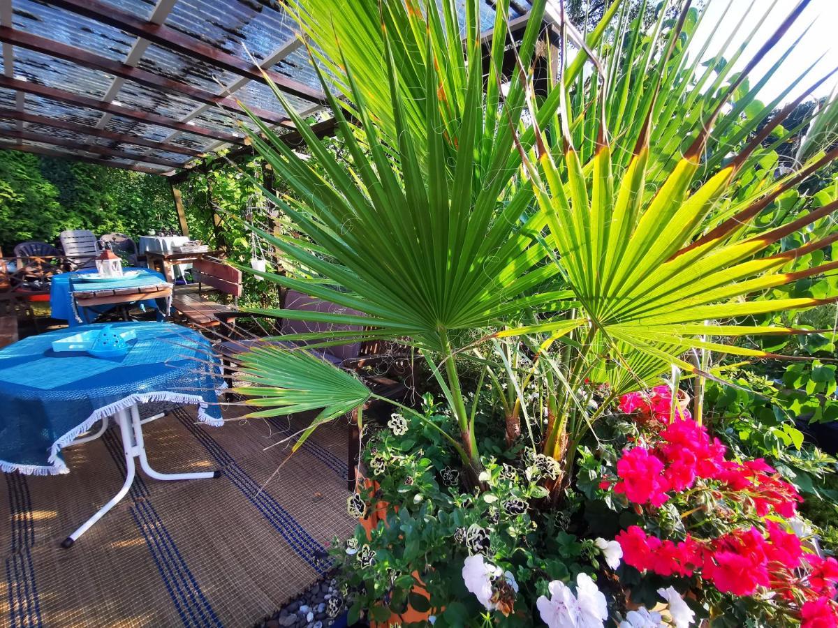 Ferienhaus Mit Riesen Garten, Drei Terrassen, Toller Aussicht Am Waldrand, Auch Als Monteur-Wohnung Hemer Extérieur photo
